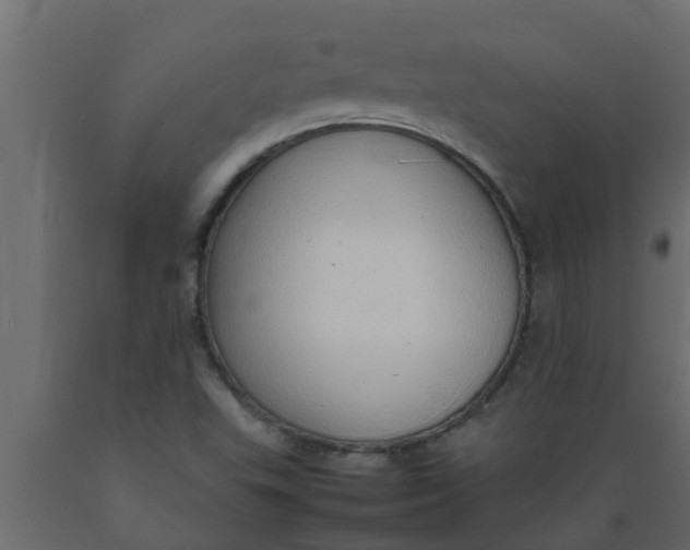 X0000089461503200707061252