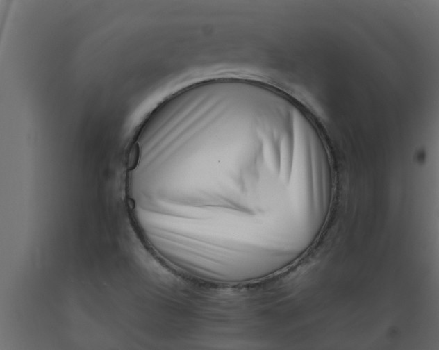 X0000089461504200707061252