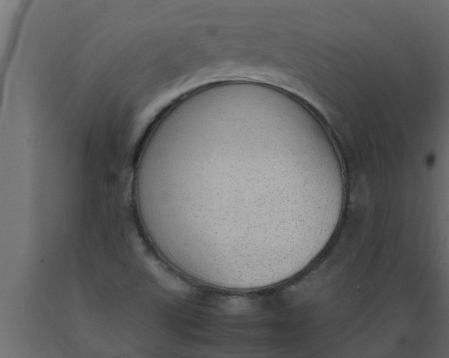 X0000089461507200707061252