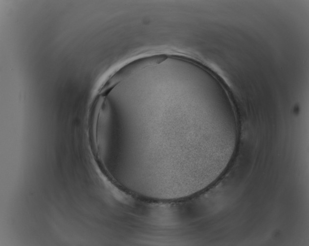 X0000089461508200707061252