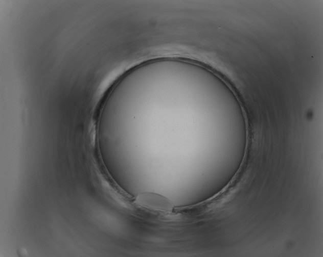 X0000089461509200707061252