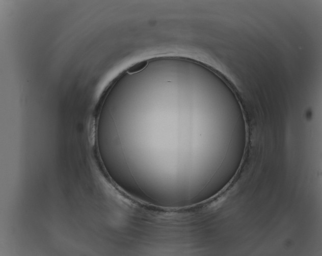X0000089461510200707061252