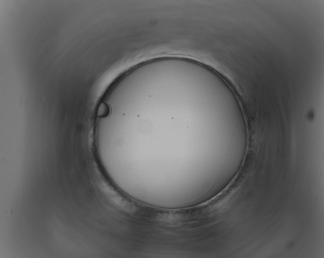 X0000089461511200707061252