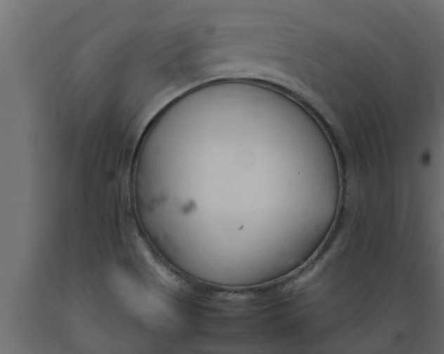 X0000089461513200707061252