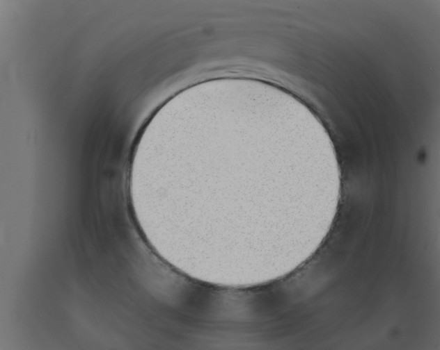 X0000089461514200707061252