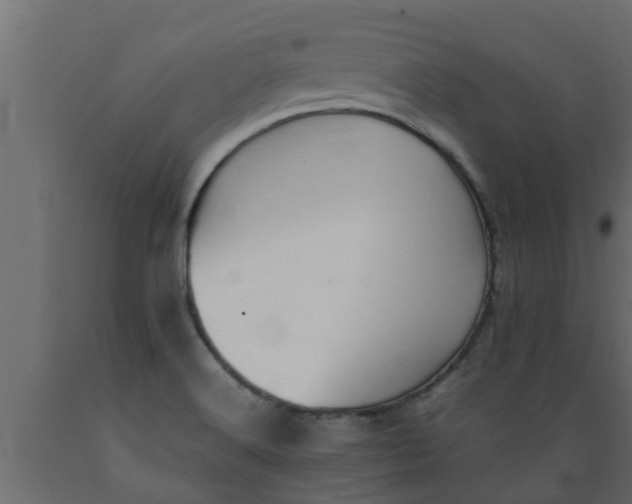 X0000089461516200707061252