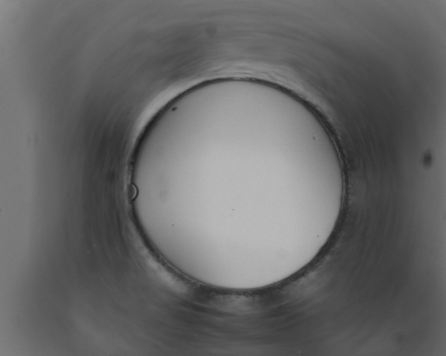 X0000089461517200707061252