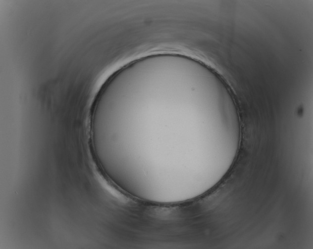 X0000089461519200707061252