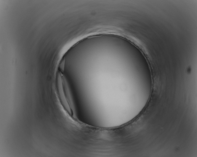 X0000089461520200707061252