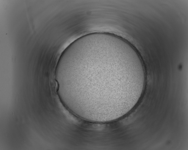 X0000089461521200707061252