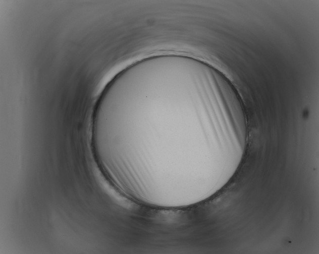 X0000089461523200707061252