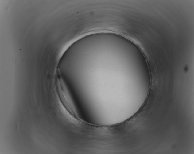 X0000089461524200707061252