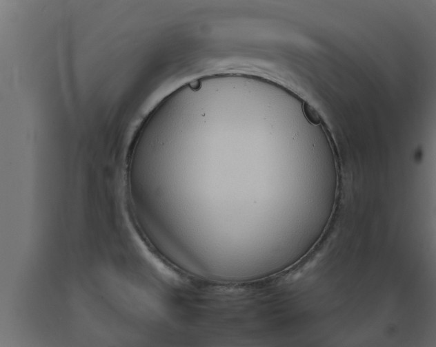 X0000089461525200707061252