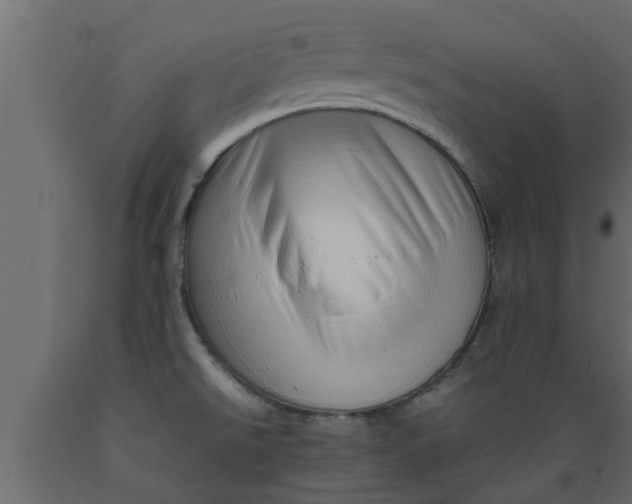 X0000089461526200707061252