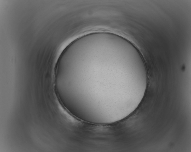 X0000089461527200707061252