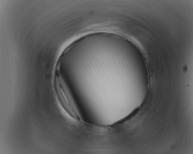X0000089461528200707061252