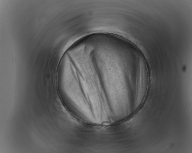 X0000089461529200707061252
