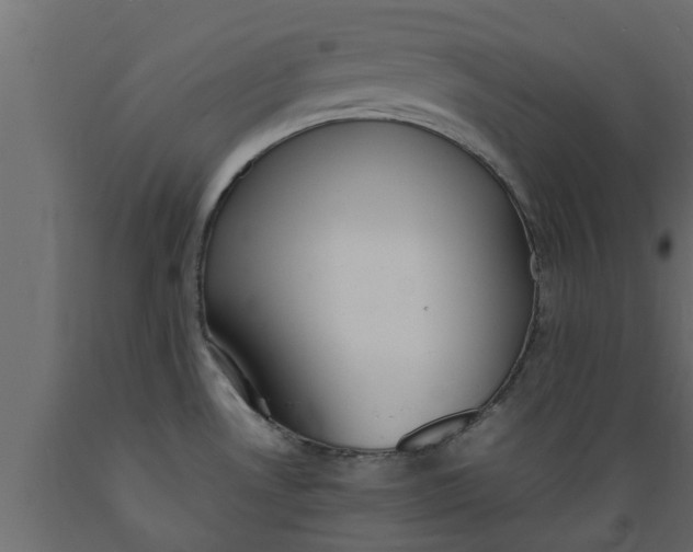 X0000089461530200707061252