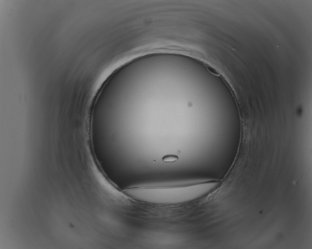 X0000089461531200707061252
