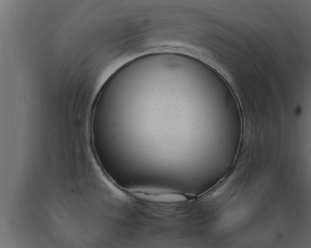 X0000089461533200707061252