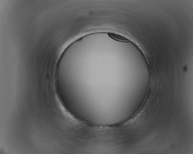 X0000089461534200707061252