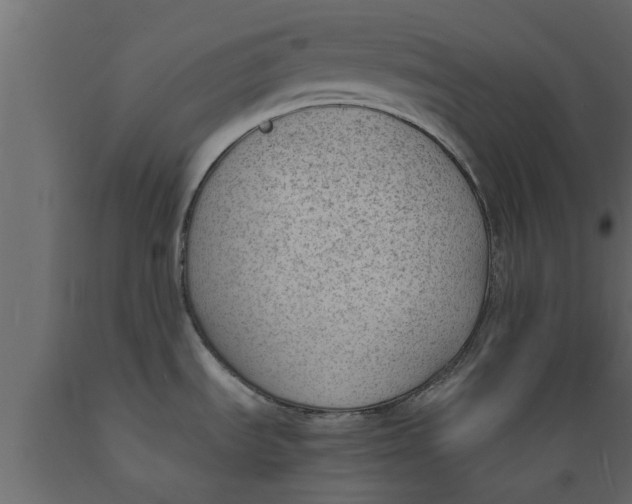 X0000089461535200707061252