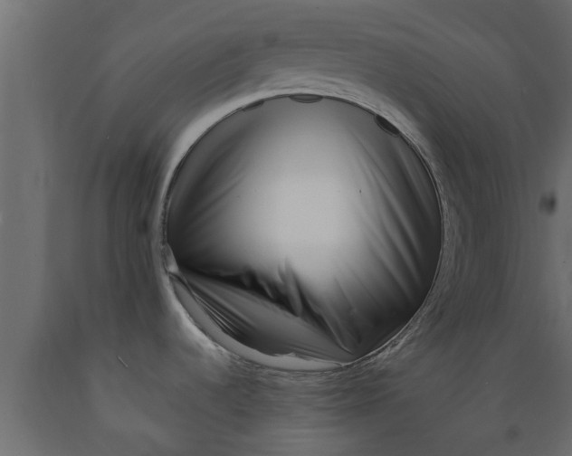 X0000089461536200707061252