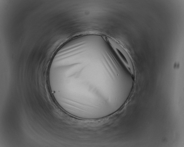 X0000089460001200707131958