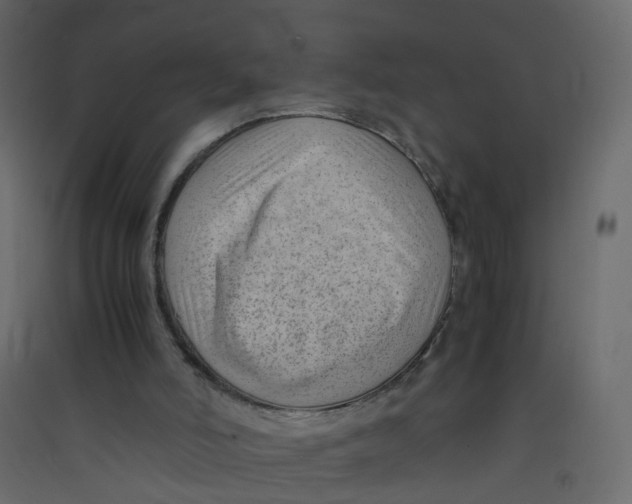 X0000089460006200707131958