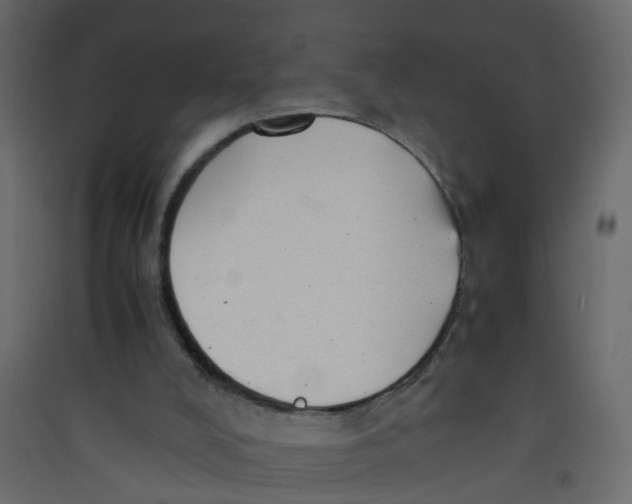 X0000089460008200707131958