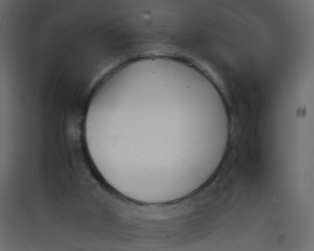 X0000089460010200707131958