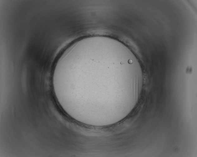 X0000089460012200707131958