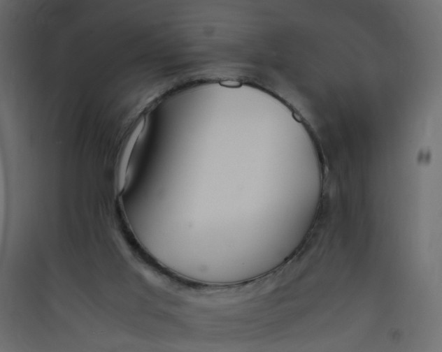 X0000089460013200707131958