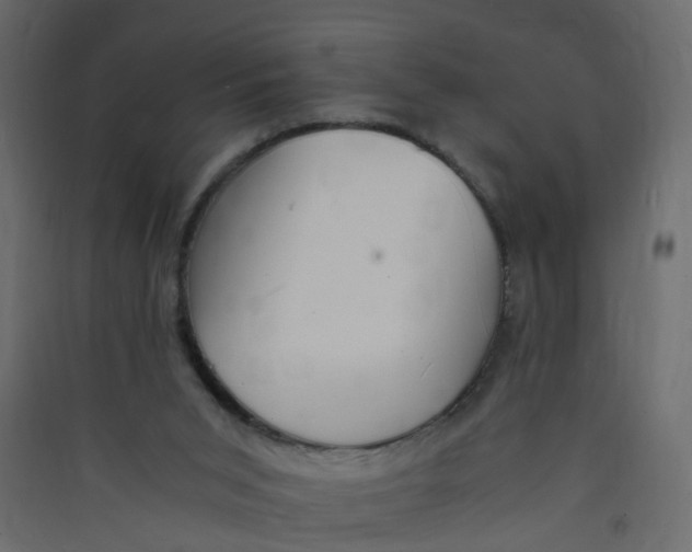 X0000089460015200707131958