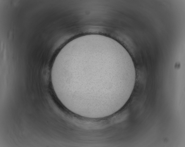 X0000089460016200707131958