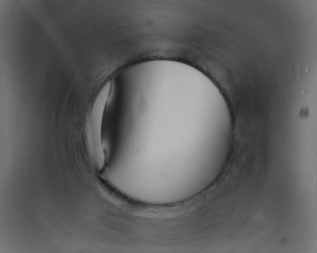 X0000089460017200707131958