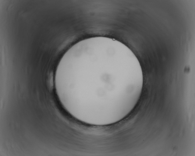 X0000089460020200707131958