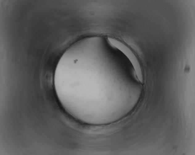 X0000089460021200707131958