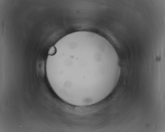 X0000089460022200707131958