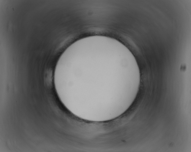 X0000089460024200707131958