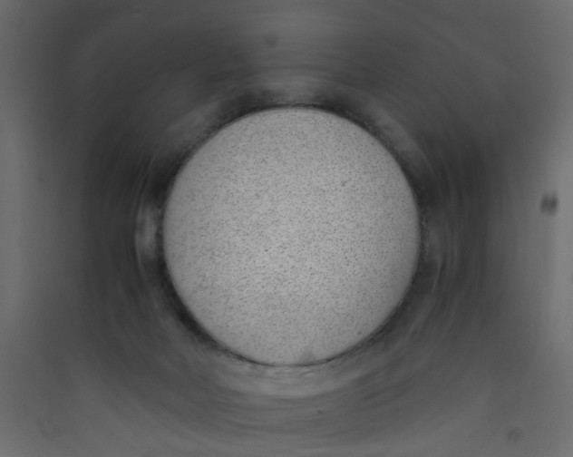 X0000089460026200707131958