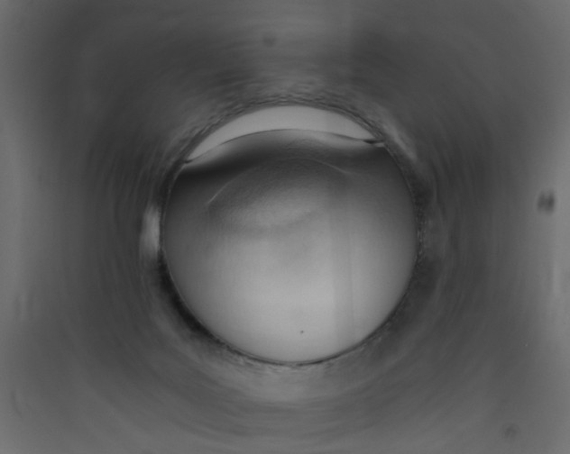 X0000089460027200707131958