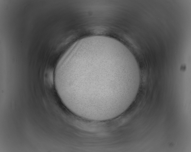 X0000089460028200707131958