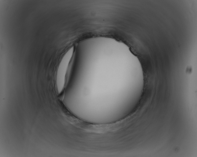 X0000089460033200707131958