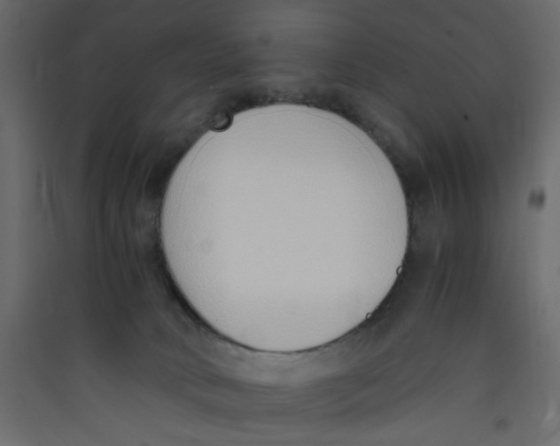 X0000089460034200707131958