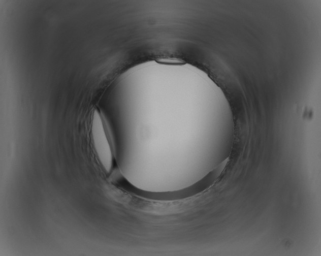 X0000089460037200707131958