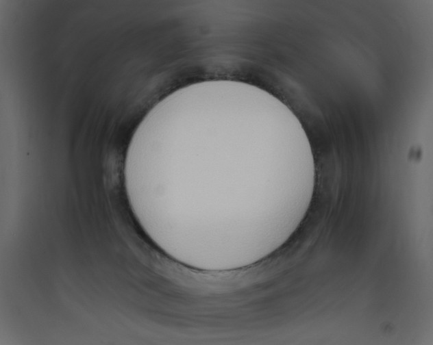 X0000089460038200707131958