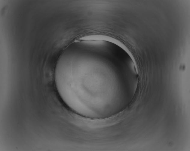 X0000089460039200707131958