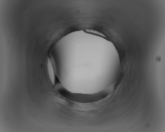 X0000089460041200707131958