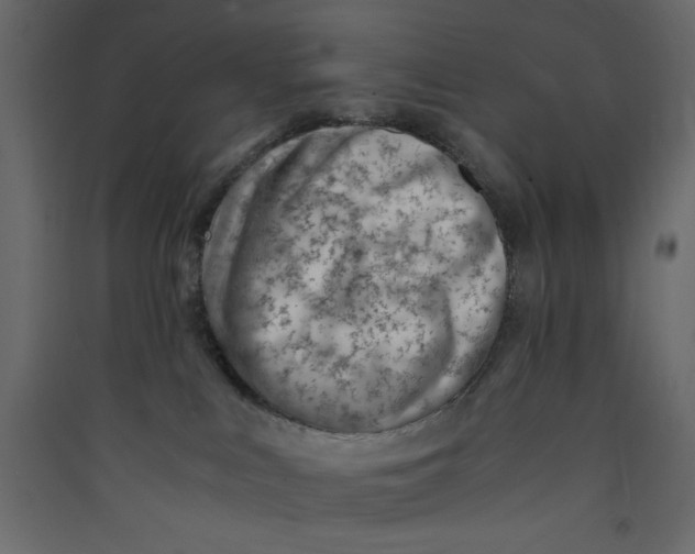 X0000089460043200707131958